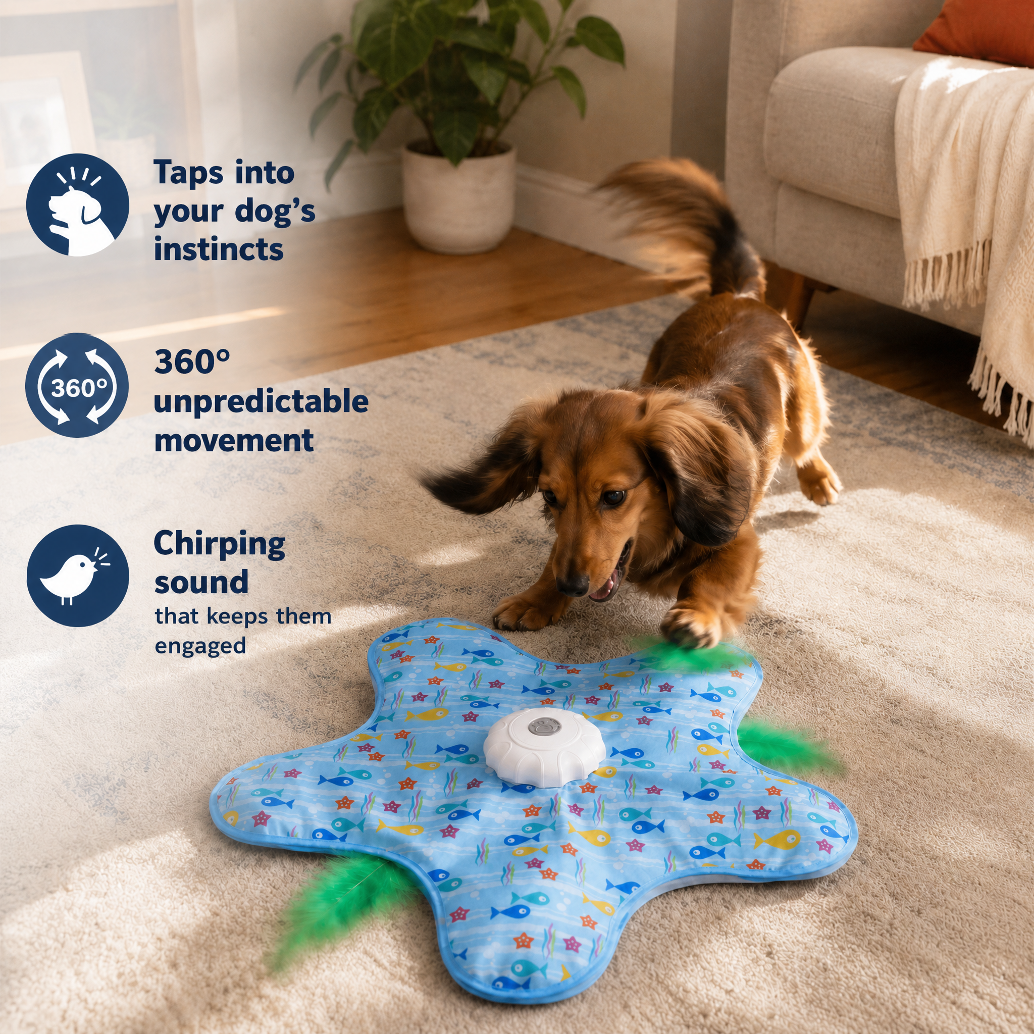 Chewie Viral Spinning Star